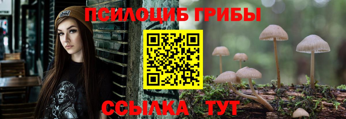Псилоцибиновые грибы Psilocybe  Вход с VPN  Топки  Галлюциногенные грибы Psilocybine cubensis 